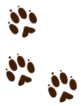 footprints01